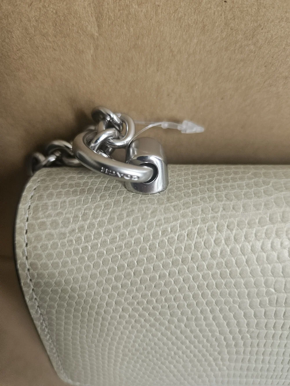 Coach Eliza Flap Crossbody Bag Silver / Pale Green CR106